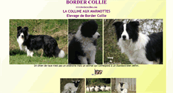 Desktop Screenshot of borderscollies.com